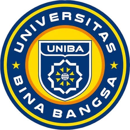 Bachelor of Information Systems